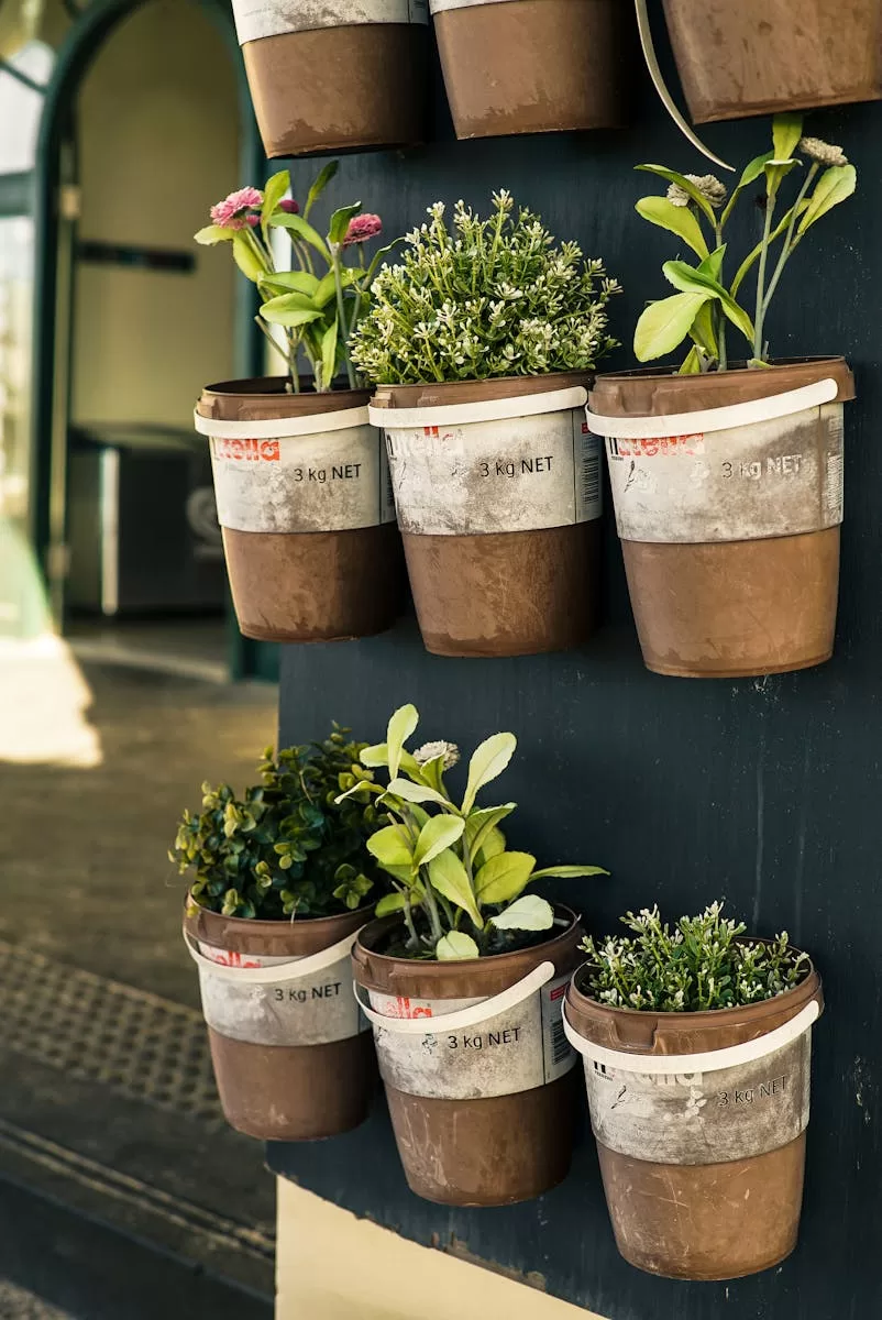 A charming arrangement of potted herbs and flowers in a vertical garden adds a touch of greenery to a modern space.