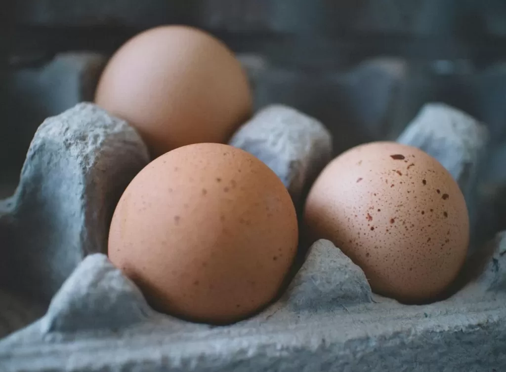 Jak uvařit vejce krok po kroku